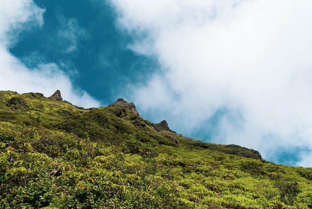 Trekking in Thekkady test